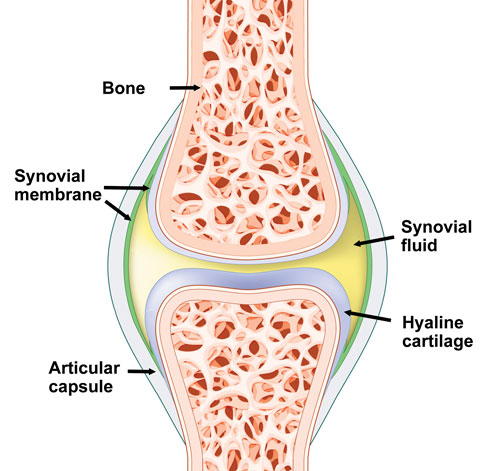 Knee Synovitis Treatment