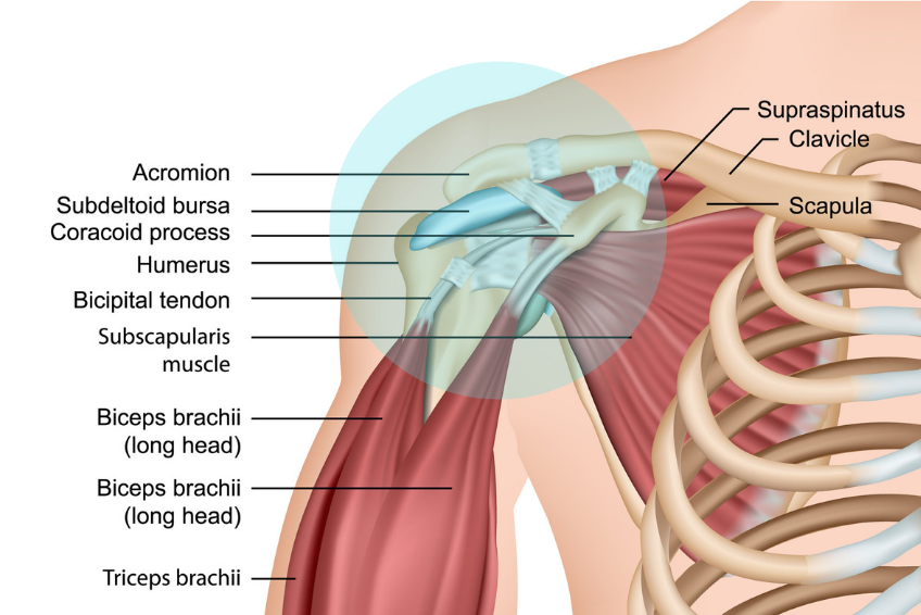 Frozen Shoulder